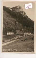 Schwarzach  im   Gebirge