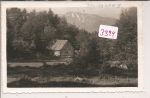 Treisenberg