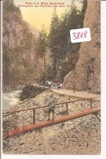 Toten   Weib    bei   Mürzsteg