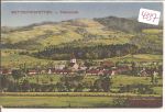 Wettmannstetten