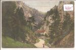 Semmering   -    Adlitzgraben