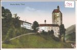 Maria   Stein