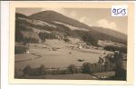 Wald   im   Pinzgau