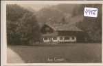 Langau