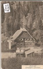 Niederalpl   bei   Mürzsteg