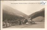 Neuwald  bei  Frein