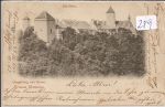 Eichhorn