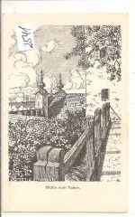 Steyr
