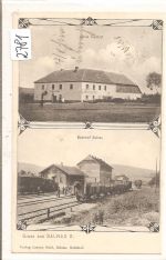 Salnau
