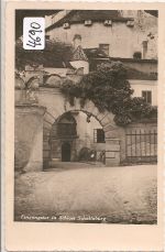Schallerburg
