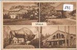 Spala