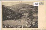 Wildgrund