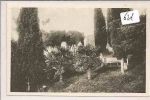 Brioni  -  Pola