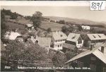 Falkenstein   -   Ratten
