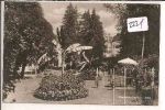 Krapinske  toplice