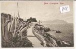 Nervi