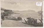 Nervi