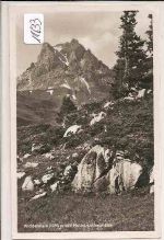 Widderstein