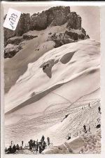 Hahnenköpfe