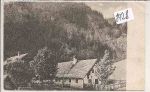 Neuwald
