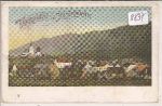Turnau