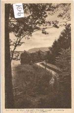 Maria  -  Wörth  am  Wörthersee