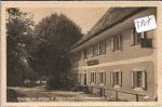 Weyregg  am  Attersee