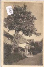 Wien   -  Kahlenberg