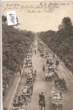 Wien   -   2.Prater  Haupt - Allee