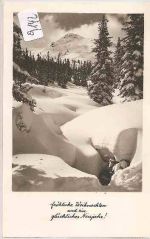 Foto  Fürst -