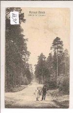 Weisser  Hirsch  Schneise  nach  Ullersdorf