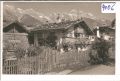 Alm  bei  Saalfelden