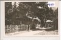 Alm  bei  Saalfelden