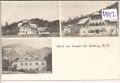 Langau