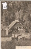 Niederalpl   bei   Mürzsteg