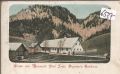 Neuwald  bei  Frein