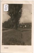 Mühlbach