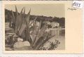 Podgora