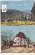 Pleschkogel
