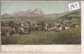 Trofaiach  -  Hafning