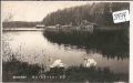 Holzöster  am  See