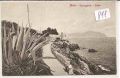 Nervi