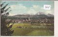 Schwanenstadt