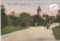 Wien   -   18.Türkenschanz  -  Park