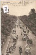Wien   -   2.Prater  Haupt - Allee