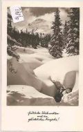 Foto  Fürst -