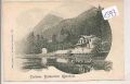Hintersee  Restauration  Gamsbock