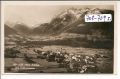 Mittersill  im  Pinzgau