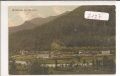 Anzenau   bei  Goisern