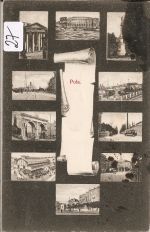 Pola
